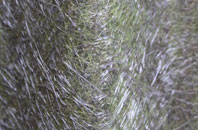 Kirn fibreglass roof work